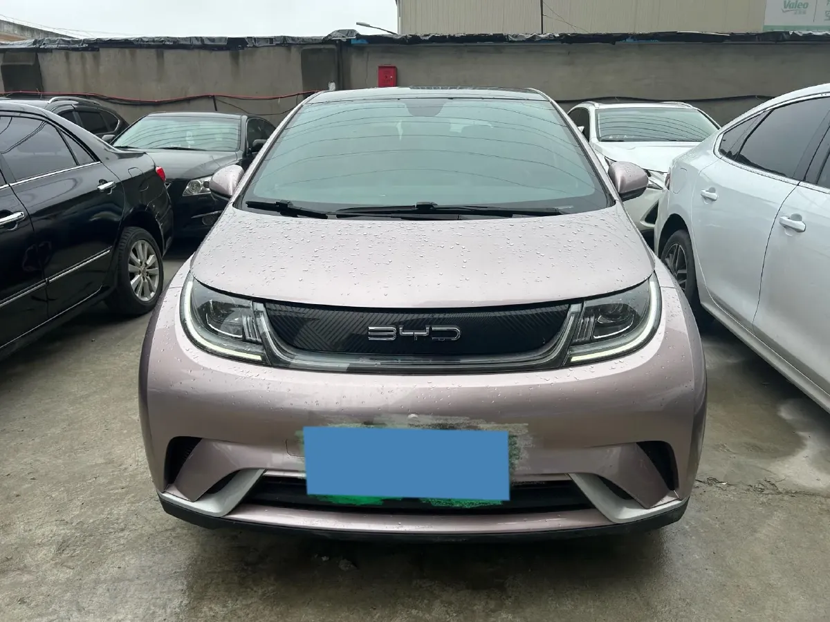 2021 BYD Yuan Pro BEV 50.1KWH,autocango,china used car exporter,china ev exporter,chinese used car exporter,chinese used ev exporter