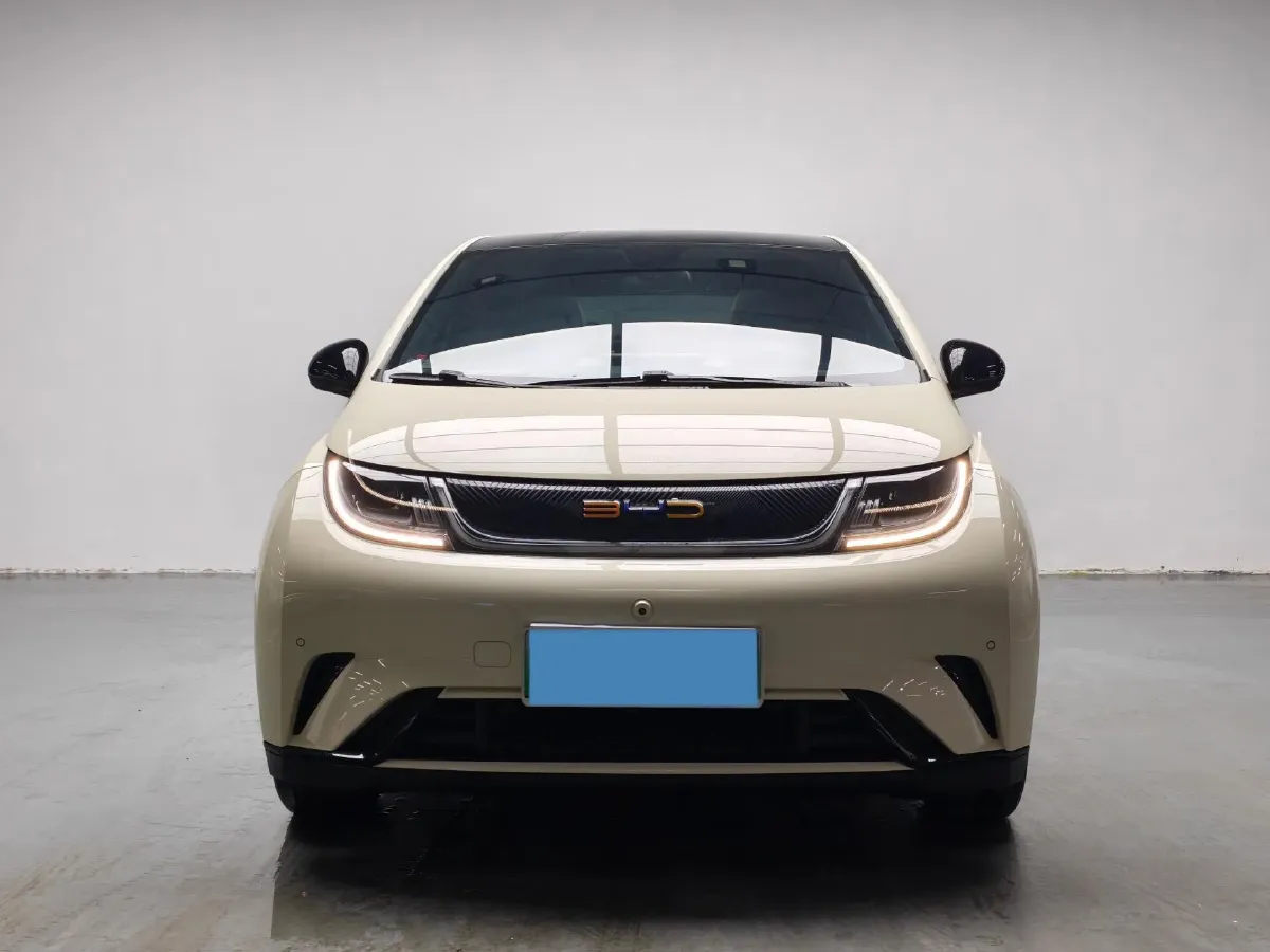 2023 BYD Dolphin BEV 44.928KWH,autocango,china used car exporter,china ev exporter,chinese used car exporter,chinese used ev exporter
