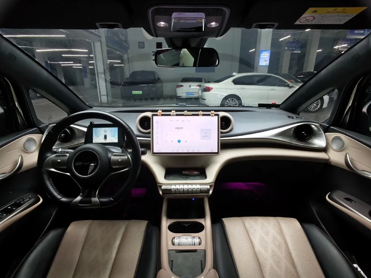 2023 BYD Dolphin BEV 44.928KWH,autocango,china used car exporter,china ev exporter,chinese used car exporter,chinese used ev exporter