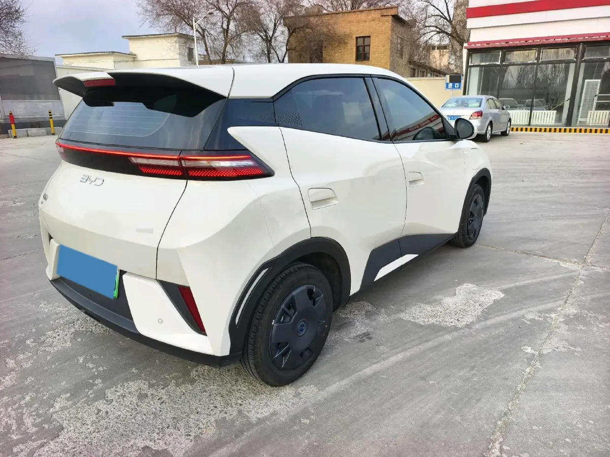 2025 BYD Seagull BEV 30.08KWH,autocango,china used car exporter,china ev exporter,chinese used car exporter,chinese used ev exporter