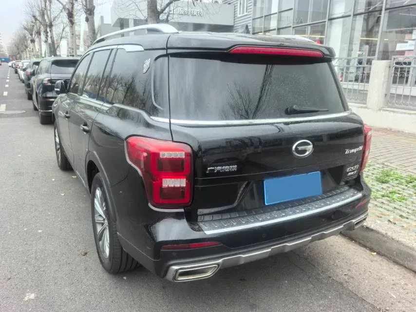 2020 GAC Trumpchi GS8 2.0T 252HP L4 6AT,autocango,china used car exporter,china ev exporter,chinese used car exporter,chinese used ev exporter