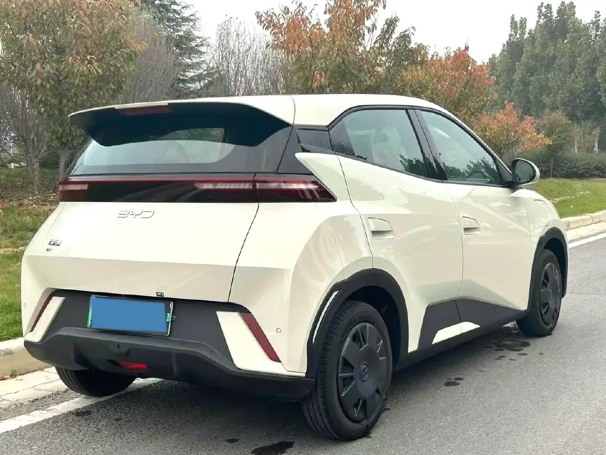 2024 BYD Seagull BEV 30.08KWH,autocango,china used car exporter,china ev exporter,chinese used car exporter,chinese used ev exporter