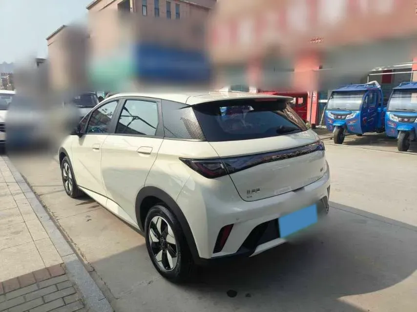 2025 BYD Dolphin BEV 44.928KWH,autocango,china used car exporter,china ev exporter,chinese used car exporter,chinese used ev exporter