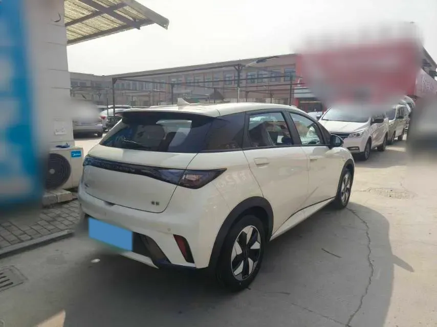 2025 BYD Dolphin BEV 44.928KWH,autocango,china used car exporter,china ev exporter,chinese used car exporter,chinese used ev exporter