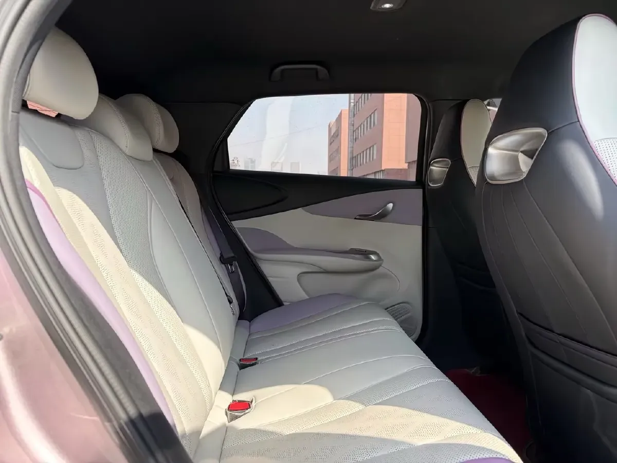 2023 BYD Dolphin BEV 44.928KWH,autocango,china used car exporter,china ev exporter,chinese used car exporter,chinese used ev exporter