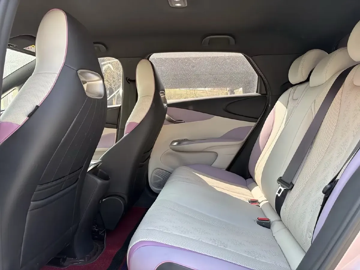 2023 BYD Dolphin BEV 44.928KWH,autocango,china used car exporter,china ev exporter,chinese used car exporter,chinese used ev exporter