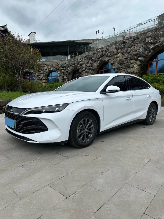 2024 BYD QinL 1.5L 101HP L4 E-CVT PHEV 10.08KWH,autocango,china used car exporter,china ev exporter,chinese used car exporter,chinese used ev exporter