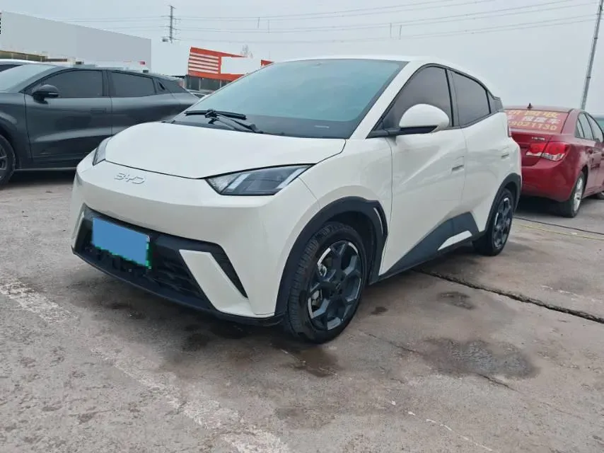 2024 BYD Seagull BEV 30.08KWH,autocango,china used car exporter,china ev exporter,chinese used car exporter,chinese used ev exporter