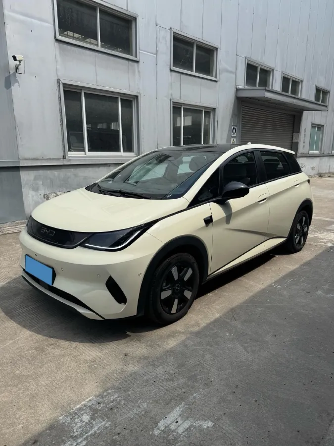 2025 BYD Dolphin BEV 45.12KWH,autocango,china used car exporter,china ev exporter,chinese used car exporter,chinese used ev exporter