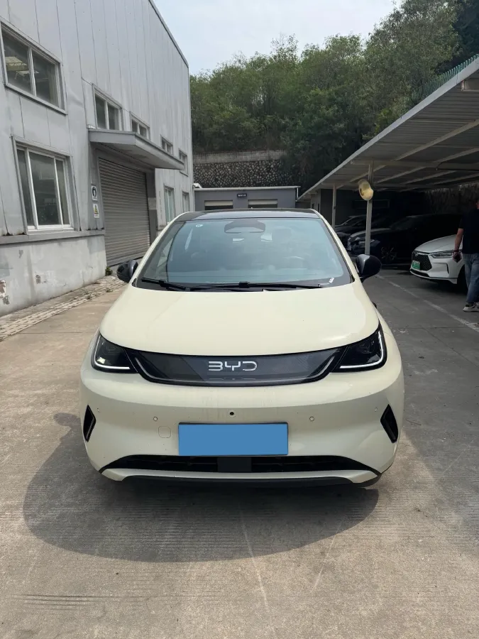 2025 BYD Dolphin BEV 45.12KWH,autocango,china used car exporter,china ev exporter,chinese used car exporter,chinese used ev exporter