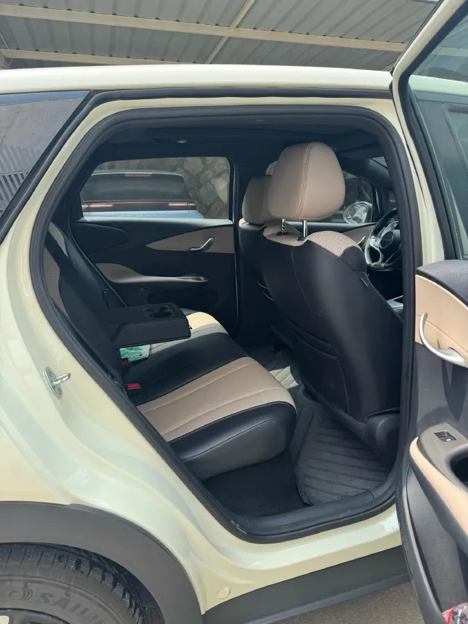 2025 BYD Dolphin BEV 45.12KWH,autocango,china used car exporter,china ev exporter,chinese used car exporter,chinese used ev exporter