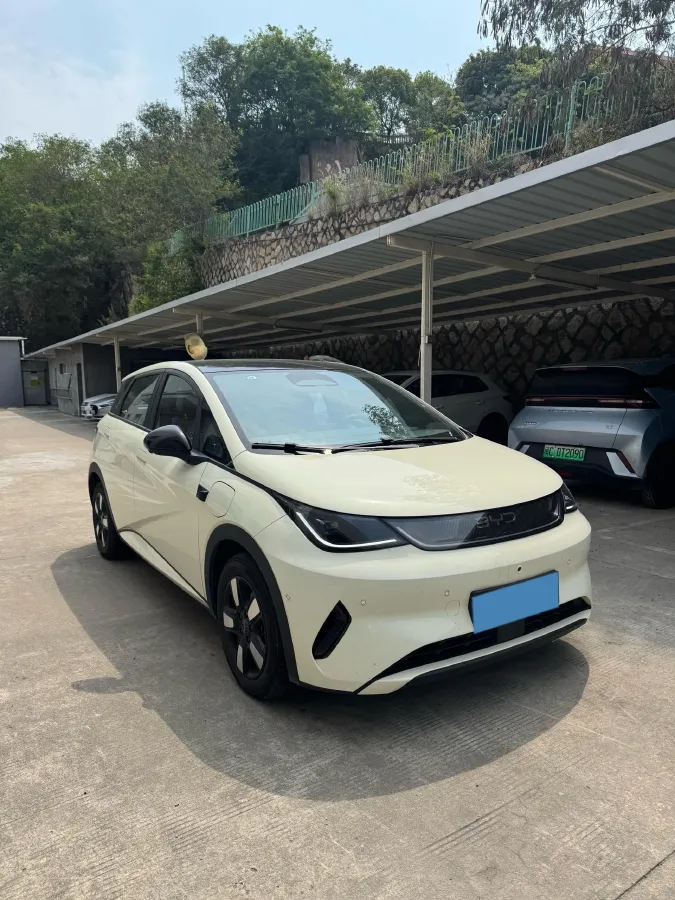 2025 BYD Dolphin BEV 45.12KWH,autocango,china used car exporter,china ev exporter,chinese used car exporter,chinese used ev exporter