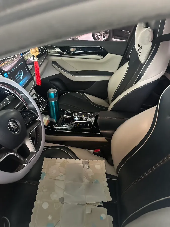 2021 DongFeng FuKang e Elysee BEV 30.7KWH,autocango,china used car exporter,china ev exporter,chinese used car exporter,chinese used ev exporter