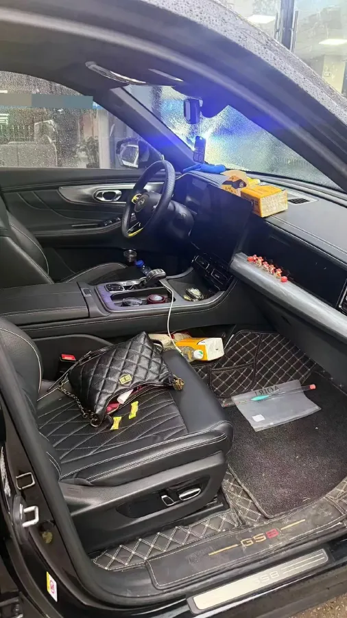 2024 GAC Trumpchi GS8 2.0T 252HP L4 8AT,autocango,china used car exporter,china ev exporter,chinese used car exporter,chinese used ev exporter