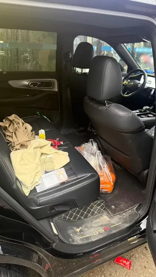 2024 GAC Trumpchi GS8 2.0T 252HP L4 8AT,autocango,china used car exporter,china ev exporter,chinese used car exporter,chinese used ev exporter