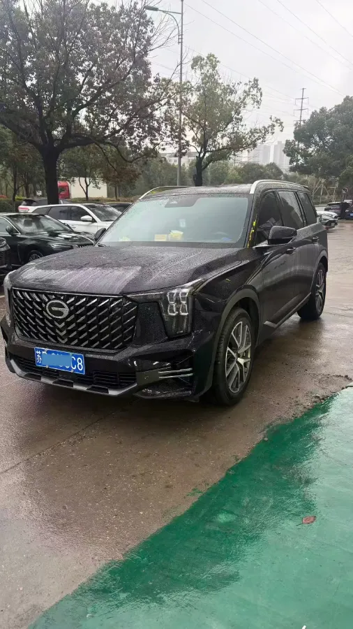 2024 GAC Trumpchi GS8 2.0T 252HP L4 8AT,autocango,china used car exporter,china ev exporter,chinese used car exporter,chinese used ev exporter