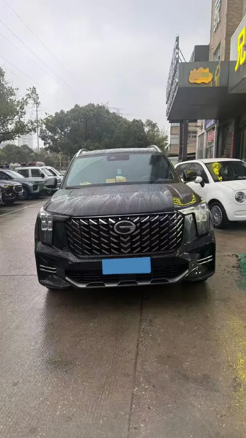 2024 GAC Trumpchi GS8 2.0T 252HP L4 8AT,autocango,china used car exporter,china ev exporter,chinese used car exporter,chinese used ev exporter
