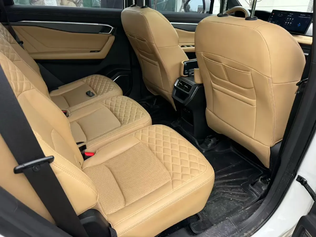 2023 Geely Okavango L 2.0T 218HP L4 7DCT,autocango,china used car exporter,china ev exporter,chinese used car exporter,chinese used ev exporter