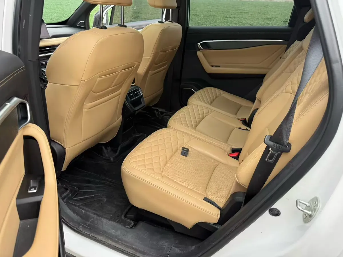 2023 Geely Okavango L 2.0T 218HP L4 7DCT,autocango,china used car exporter,china ev exporter,chinese used car exporter,chinese used ev exporter