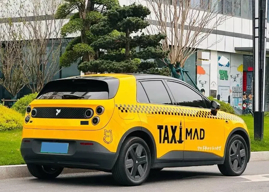 2025 Firefly Firefly BEV,autocango,china used car exporter,china ev exporter,chinese used car exporter,chinese used ev exporter