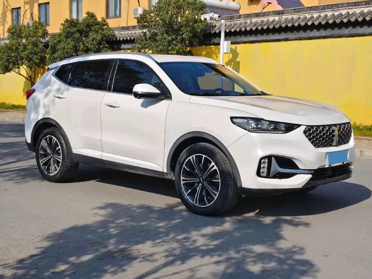 2020 WEY VV6 2.0T 227HP L4 7DCT,autocango,china used car exporter,china ev exporter,chinese used car exporter,chinese used ev exporter