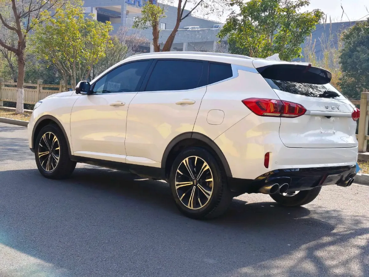 2020 WEY VV6 2.0T 227HP L4 7DCT,autocango,china used car exporter,china ev exporter,chinese used car exporter,chinese used ev exporter