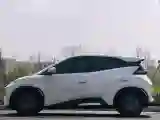 2024 BYD Seagull BEV 30.08KWH