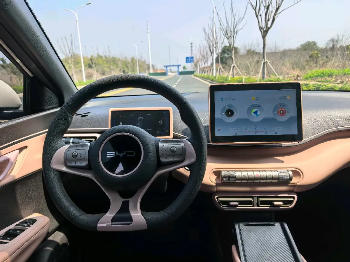 2024 BYD Seagull BEV 30.08KWH,autocango,china used car exporter,china ev exporter,chinese used car exporter,chinese used ev exporter