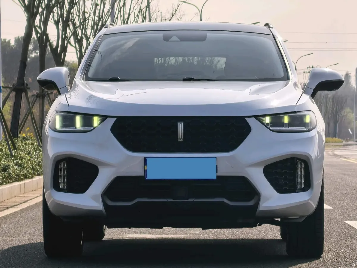 2019 WEY VV5 2.0T 197HP L4 7DCT,autocango,china used car exporter,china ev exporter,chinese used car exporter,chinese used ev exporter