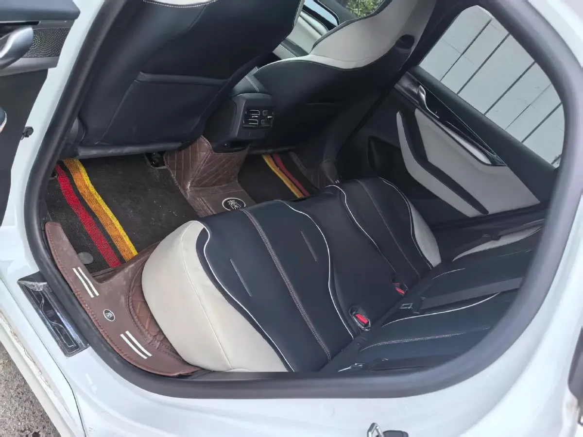 2021 DongFeng FuKang e Elysee BEV 30.7KWH,autocango,china used car exporter,china ev exporter,chinese used car exporter,chinese used ev exporter