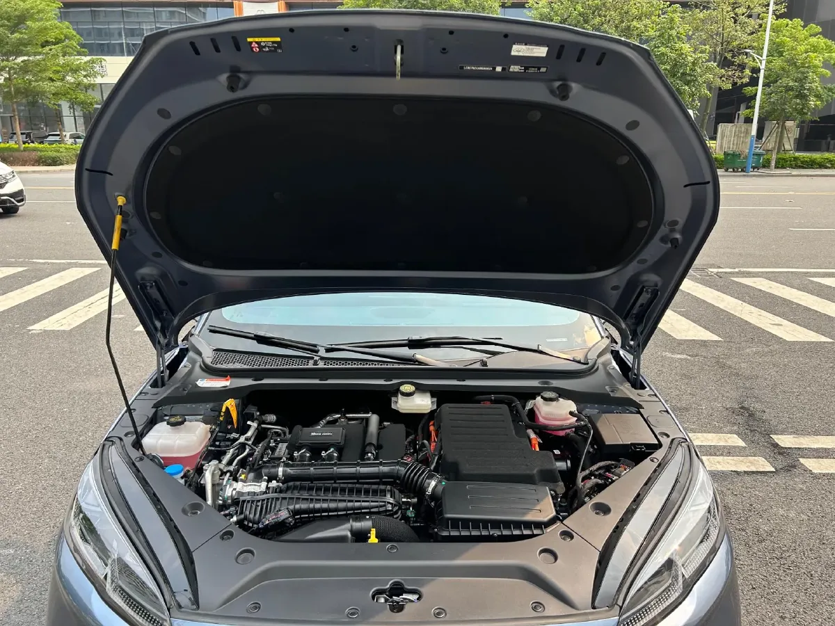 2024 BYD Seal06 1.5L 101HP L4 E-CVT PHEV 10.08KWH,autocango,china used car exporter,china ev exporter,chinese used car exporter,chinese used ev exporter