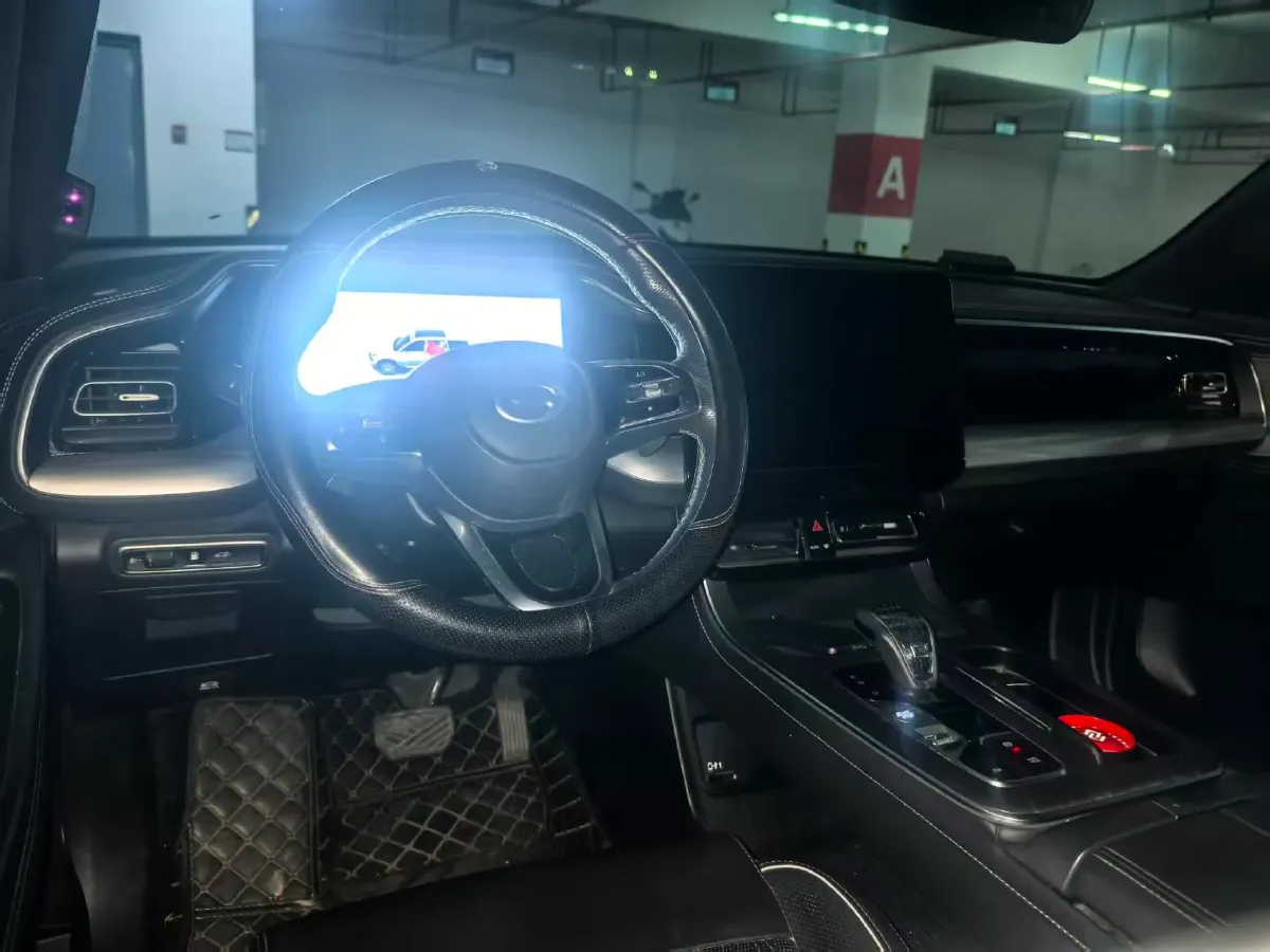 2024 GAC Trumpchi GS8 2.0T 252HP L4 8AT,autocango,china used car exporter,china ev exporter,chinese used car exporter,chinese used ev exporter