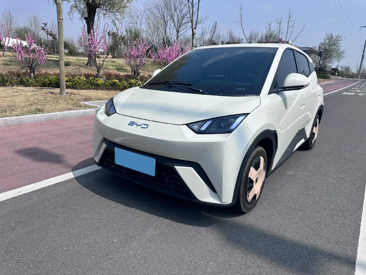 2024 BYD Seagull BEV 30.08KWH,autocango,china used car exporter,china ev exporter,chinese used car exporter,chinese used ev exporter