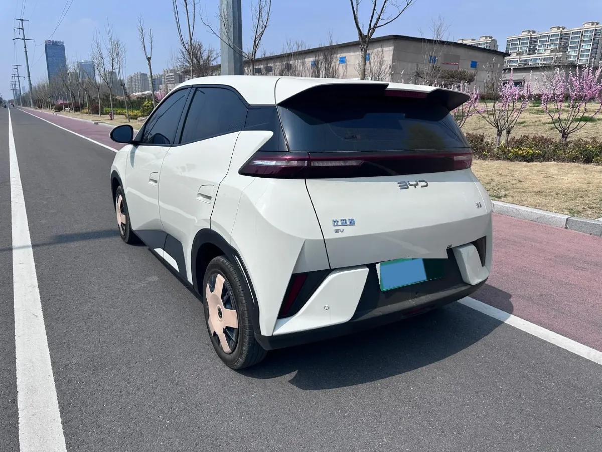 2024 BYD Seagull BEV 30.08KWH,autocango,china used car exporter,china ev exporter,chinese used car exporter,chinese used ev exporter