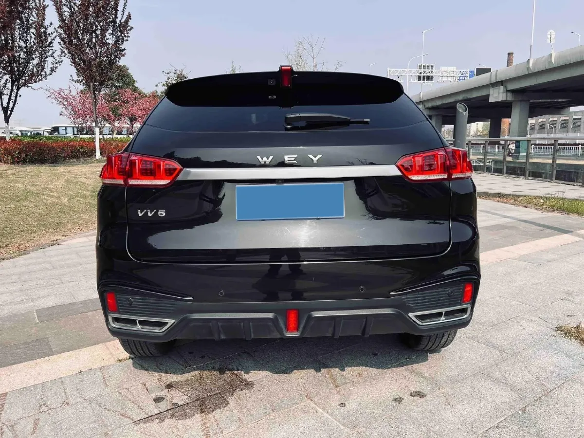 2020 WEY VV5 1.5T 171HP L4 7DCT,autocango,china used car exporter,china ev exporter,chinese used car exporter,chinese used ev exporter