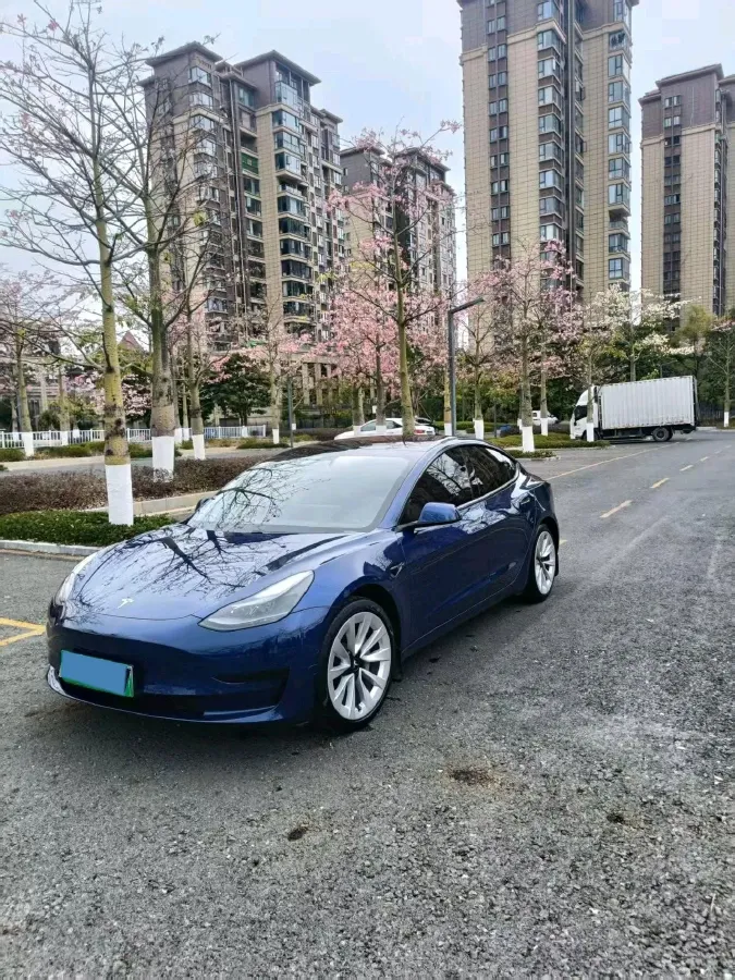 2021 Tesla Model 3 BEV 55KWH,autocango,china used car exporter,china ev exporter,chinese used car exporter,chinese used ev exporter