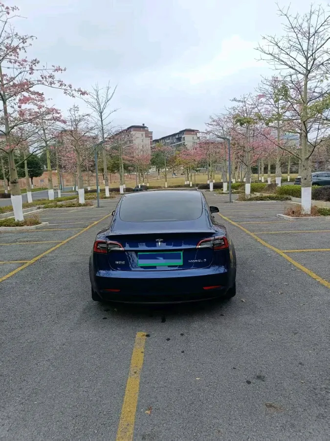 2021 Tesla Model 3 BEV 55KWH,autocango,china used car exporter,china ev exporter,chinese used car exporter,chinese used ev exporter