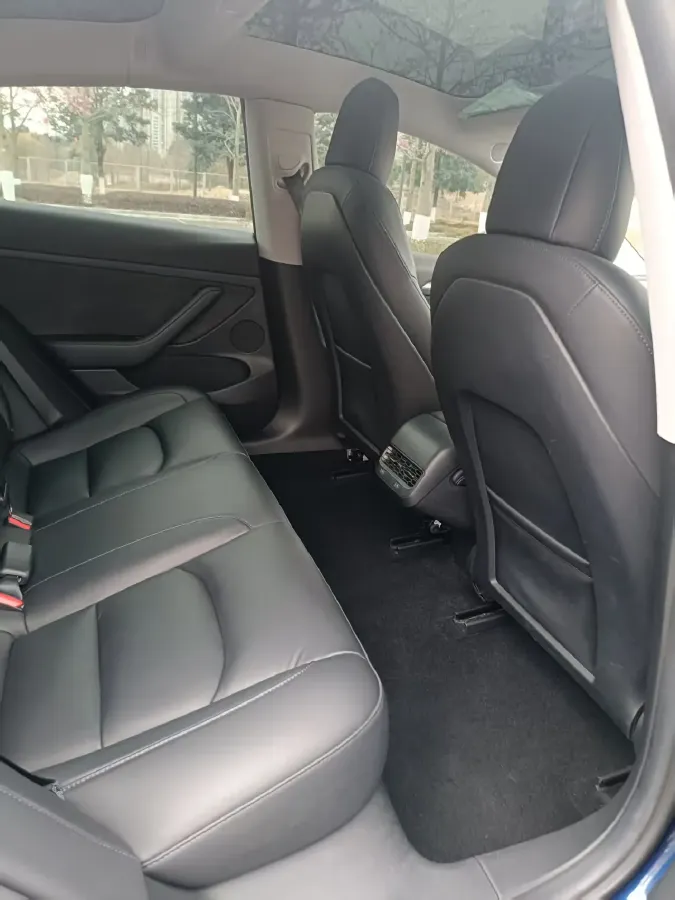 2021 Tesla Model 3 BEV 55KWH,autocango,china used car exporter,china ev exporter,chinese used car exporter,chinese used ev exporter