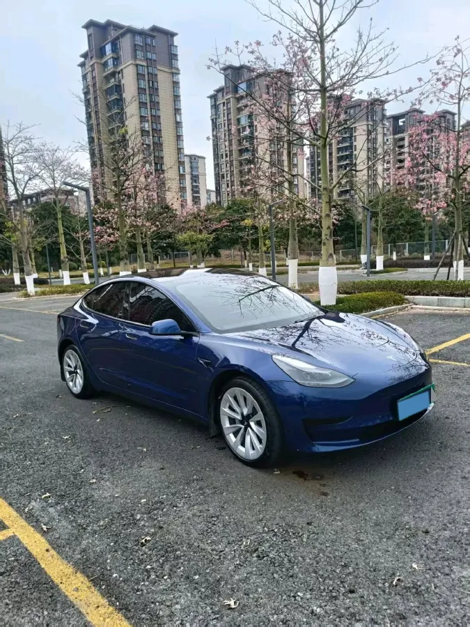 2021 Tesla Model 3 BEV 55KWH,autocango,china used car exporter,china ev exporter,chinese used car exporter,chinese used ev exporter
