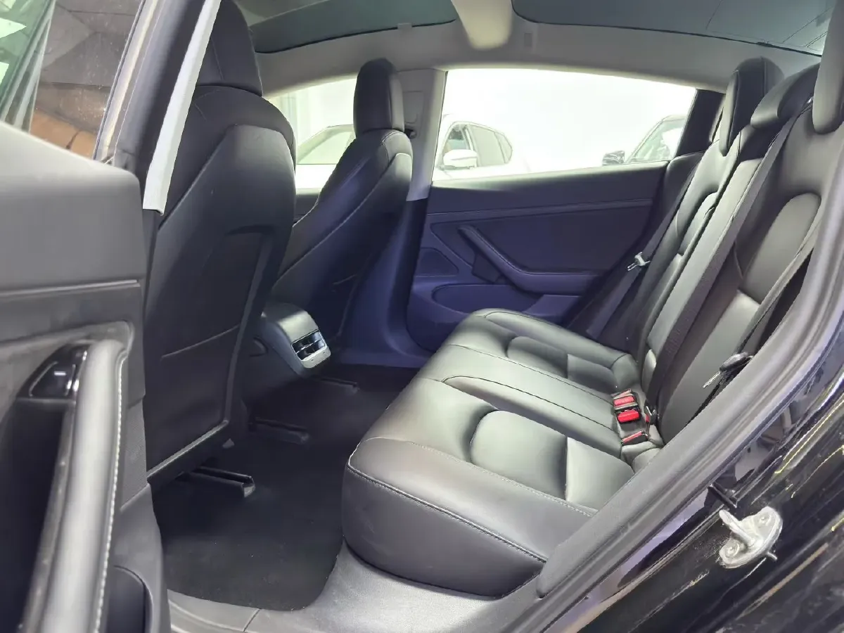 2020 Tesla Model 3 BEV 52KWH,autocango,china used car exporter,china ev exporter,chinese used car exporter,chinese used ev exporter