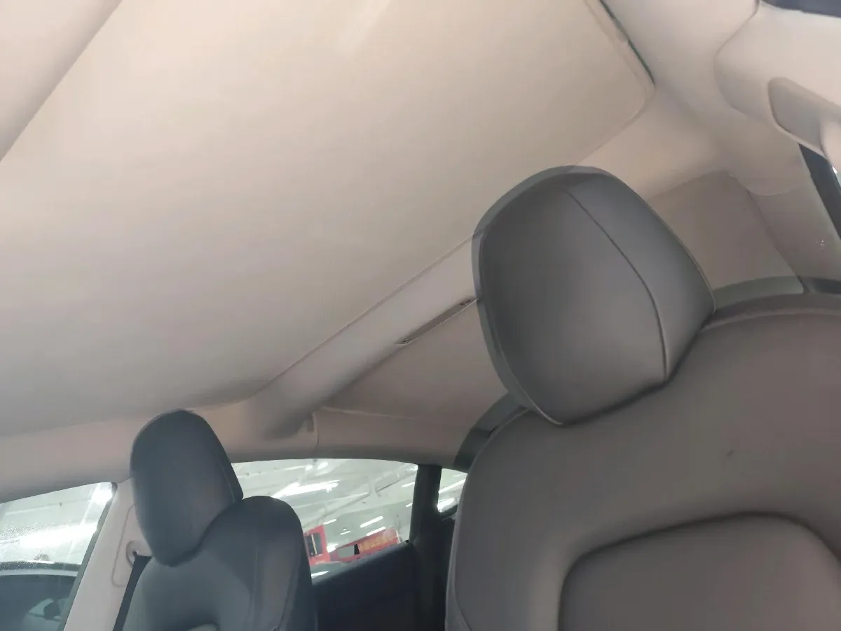 2021 Tesla Model 3 BEV 55KWH,autocango,china used car exporter,china ev exporter,chinese used car exporter,chinese used ev exporter