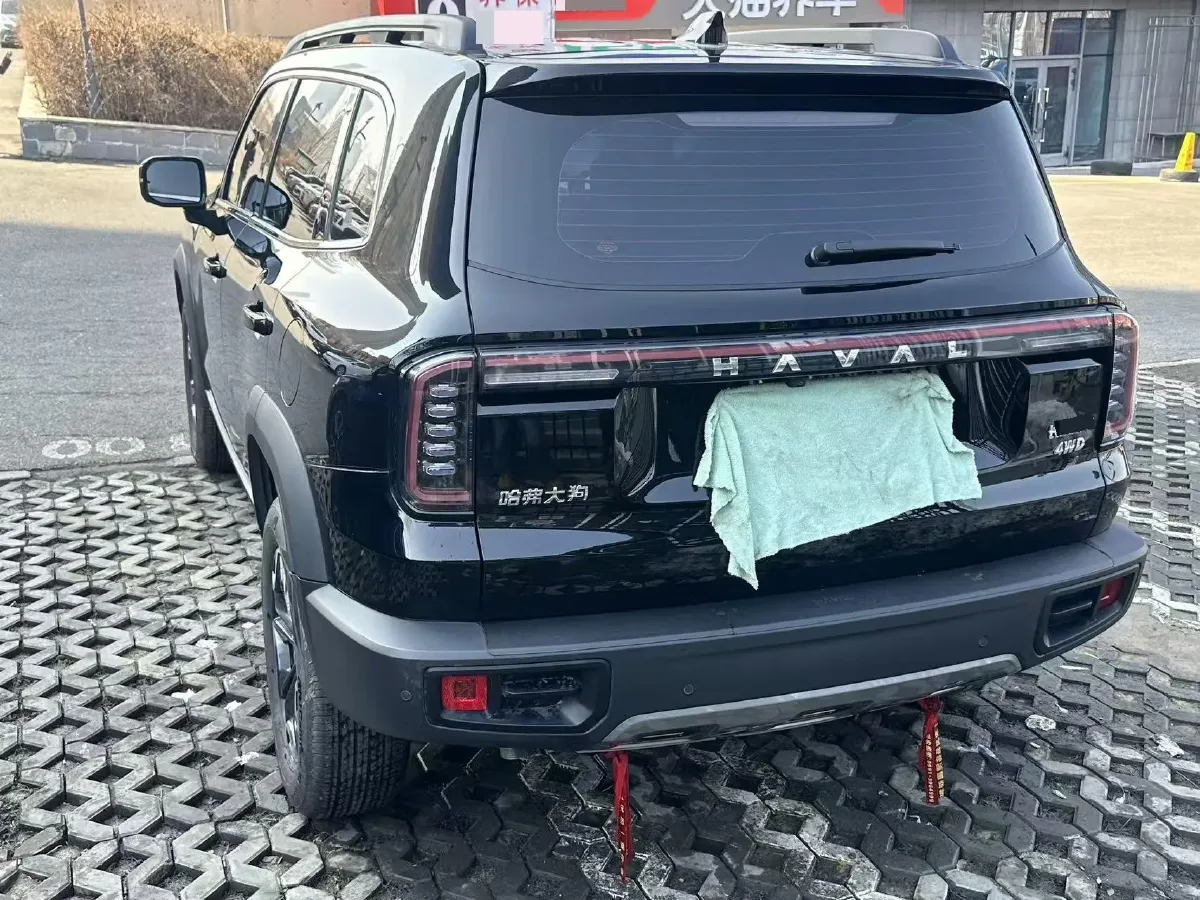 2024 Haval Dargo 2.0T 238HP L4 9DCT,autocango,china used car exporter,china ev exporter,chinese used car exporter,chinese used ev exporter