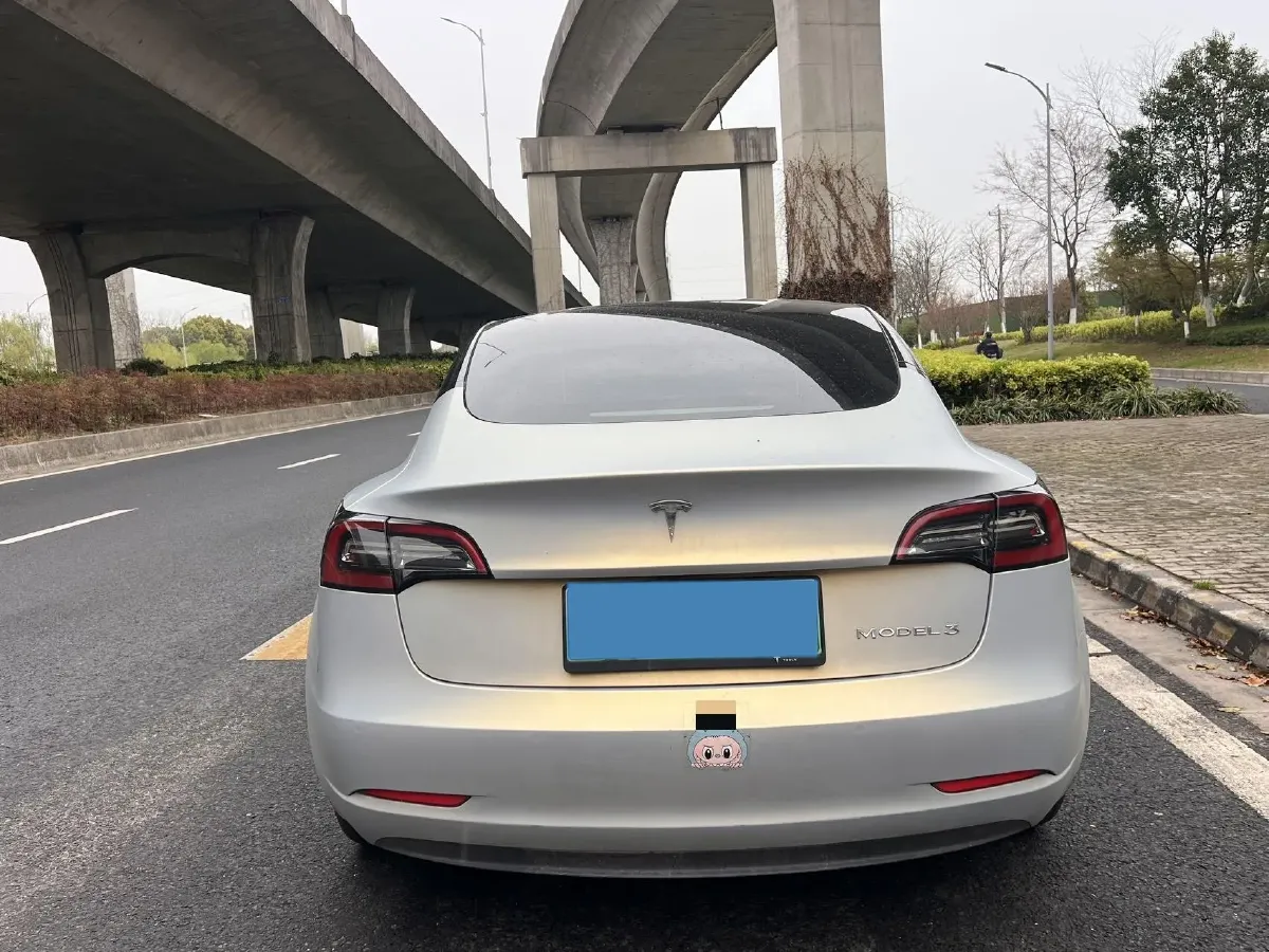 2021 Tesla Model 3 BEV 55KWH,autocango,china used car exporter,china ev exporter,chinese used car exporter,chinese used ev exporter