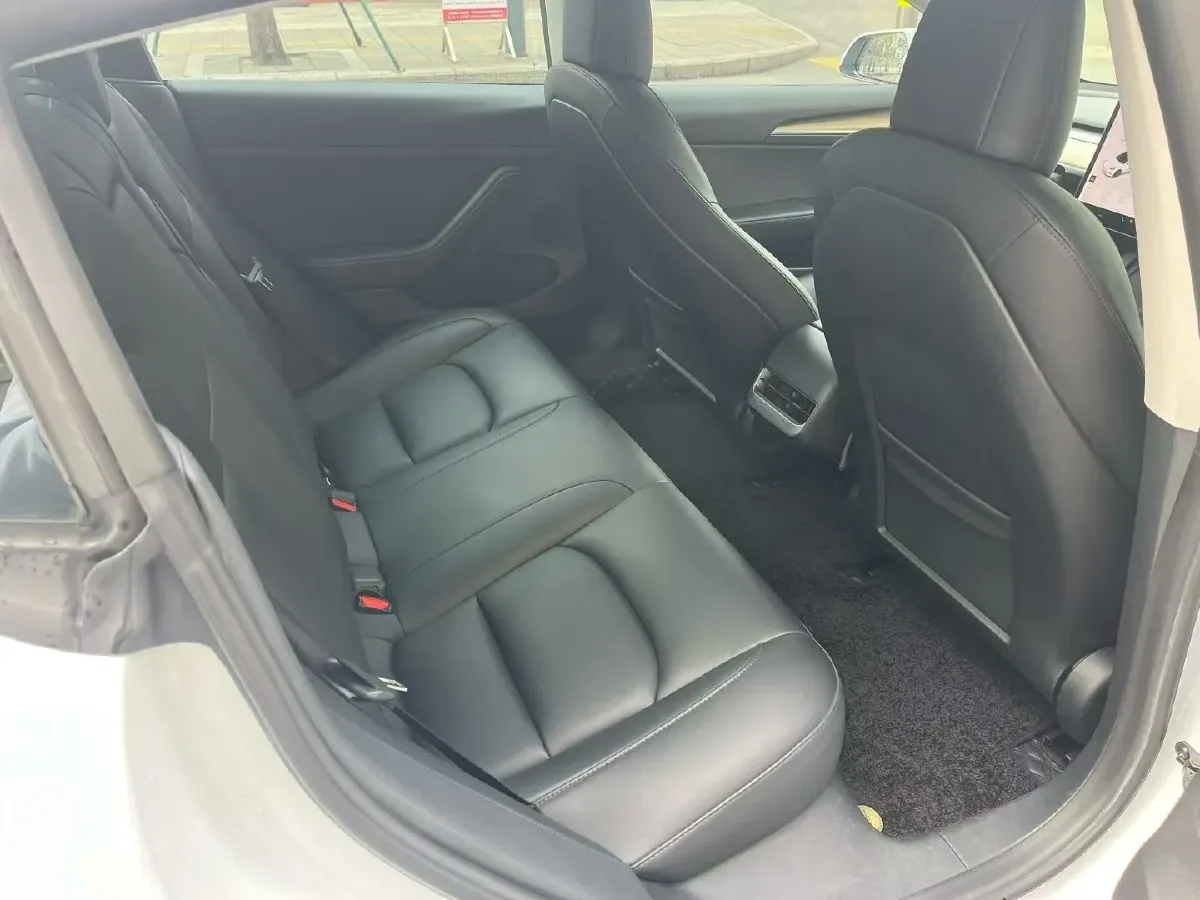 2021 Tesla Model 3 BEV 55KWH,autocango,china used car exporter,china ev exporter,chinese used car exporter,chinese used ev exporter