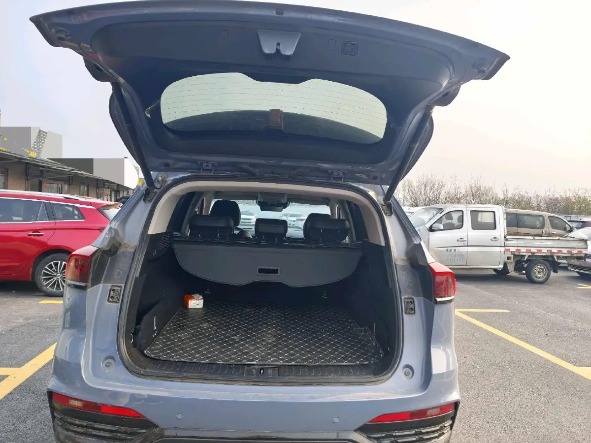 2022 WEY Latte DHT 1.5T 156HP L4 2DHT Hybrid,autocango,china used car exporter,china ev exporter,chinese used car exporter,chinese used ev exporter