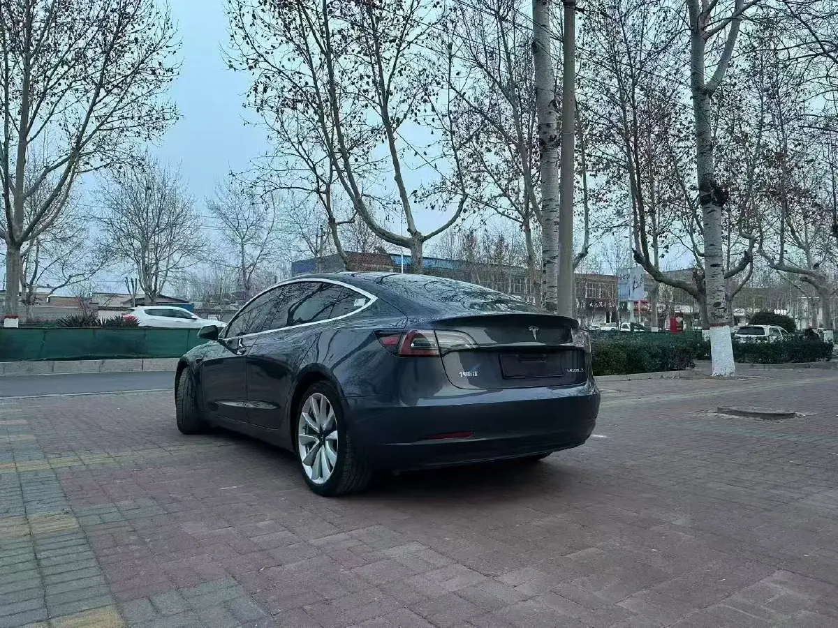2021 Tesla Model 3 BEV 55KWH,autocango,china used car exporter,china ev exporter,chinese used car exporter,chinese used ev exporter