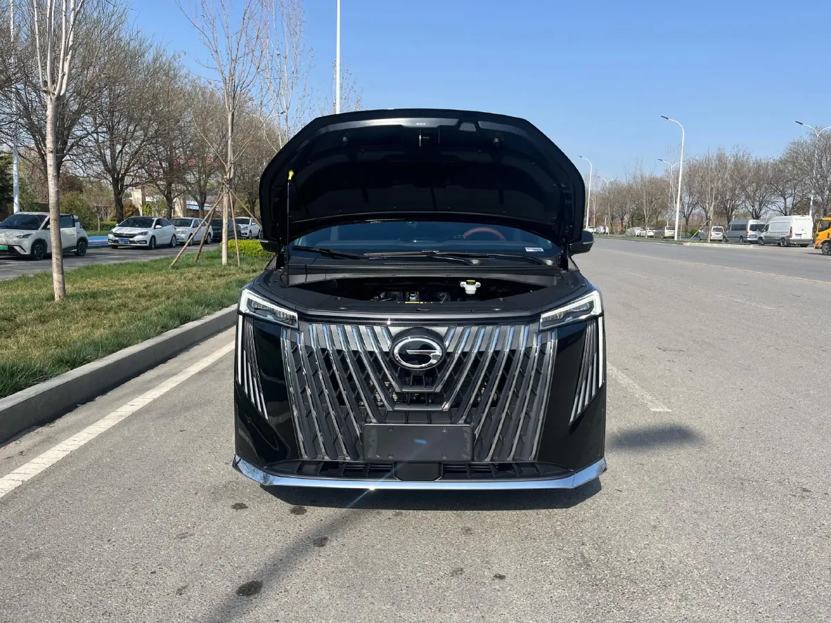 2024 GAC Trumpchi M8 2.0T 252HP L4 8AT,autocango,china used car exporter,china ev exporter,chinese used car exporter,chinese used ev exporter