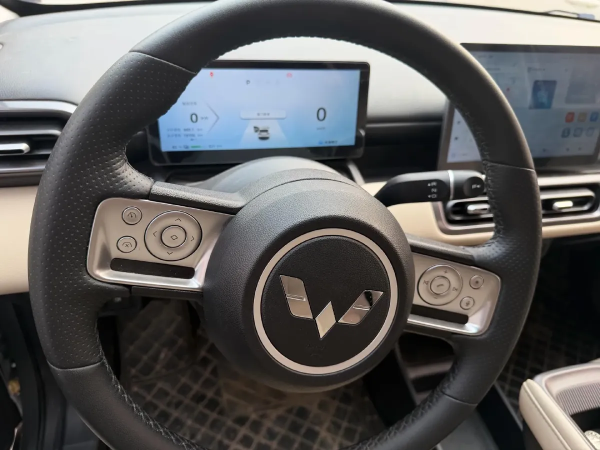 2024 WuLing BinGuoPLUS BEV 50.6KWH,autocango,china used car exporter,china ev exporter,chinese used car exporter,chinese used ev exporter