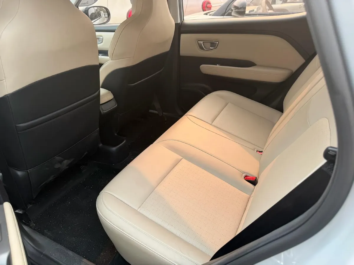 2024 WuLing BinGuoPLUS BEV 50.6KWH,autocango,china used car exporter,china ev exporter,chinese used car exporter,chinese used ev exporter