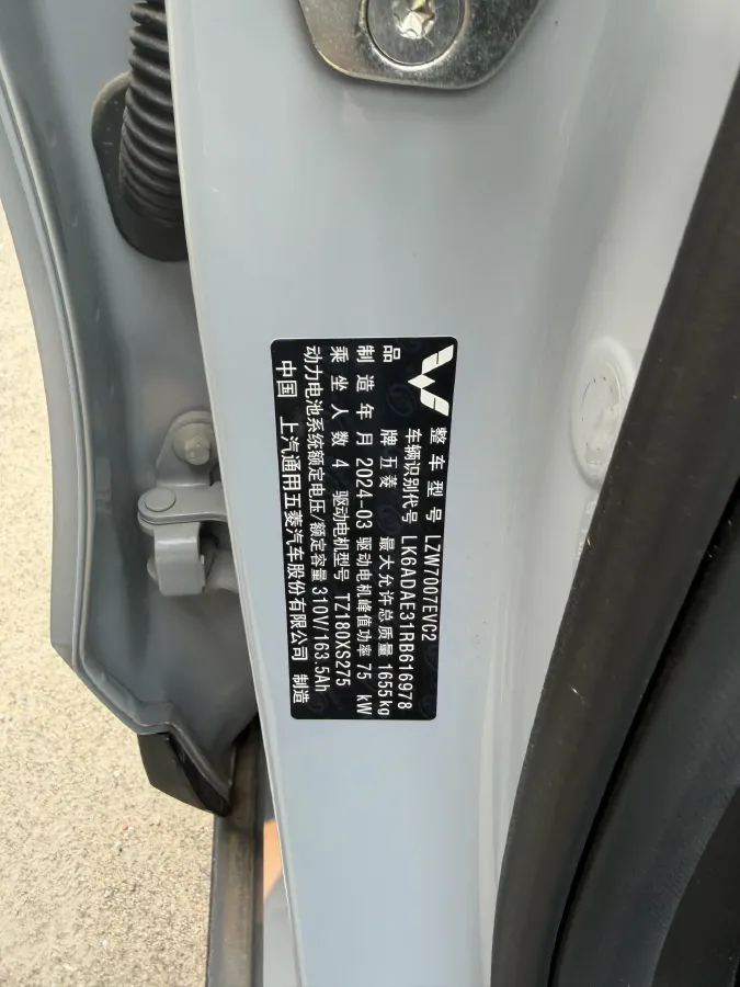 2024 WuLing BinGuoPLUS BEV 50.6KWH,autocango,china used car exporter,china ev exporter,chinese used car exporter,chinese used ev exporter